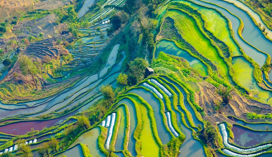 走进周至县TVC拍摄：解锁本地化场景与创意镜头的完美融合